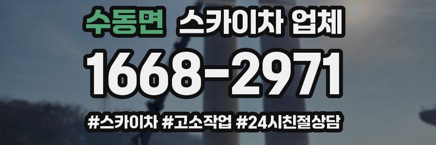 수동면 스카이차 업체