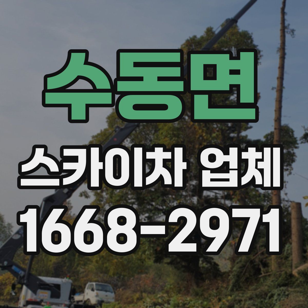 수동면 스카이차 업체