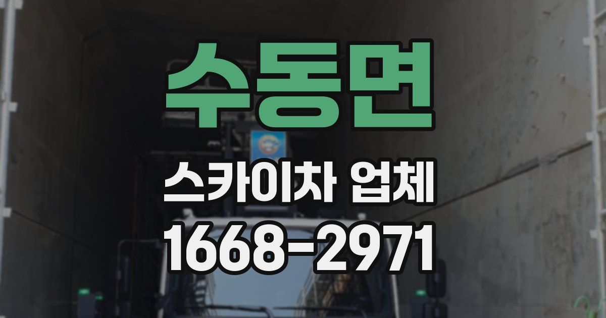 수동면 스카이차 업체