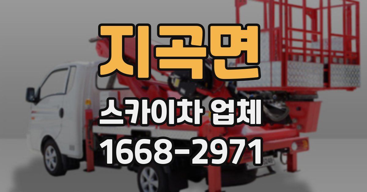 지곡면 스카이차 업체