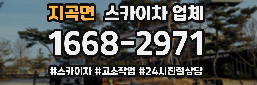 지곡면 스카이차 업체