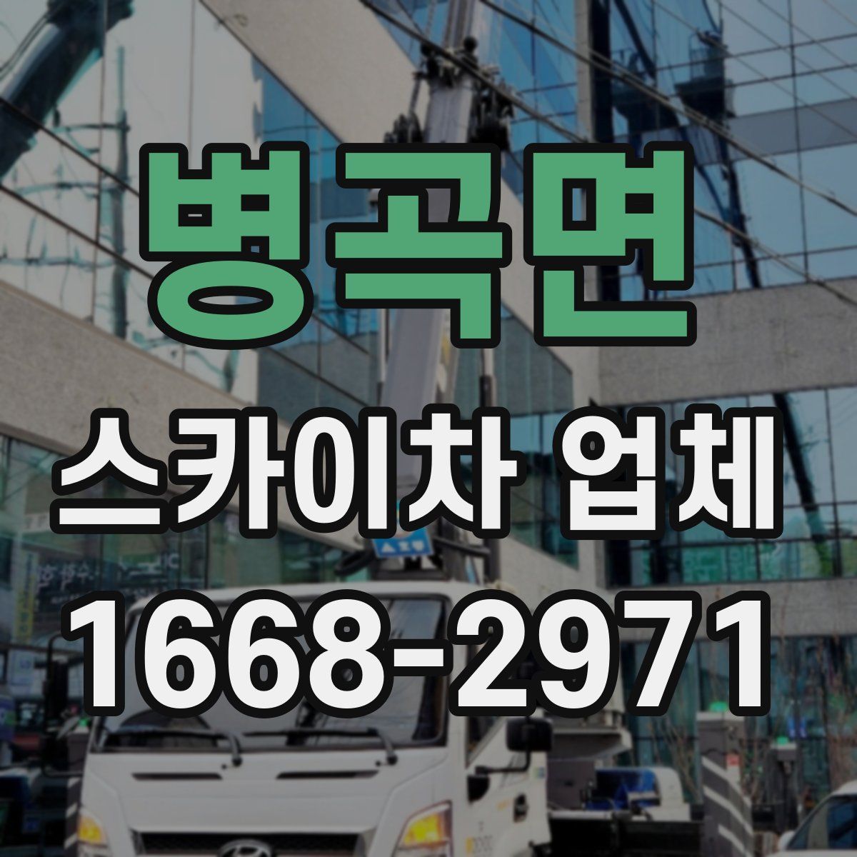 병곡면 스카이차 업체