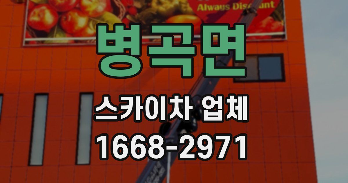 병곡면 스카이차 업체