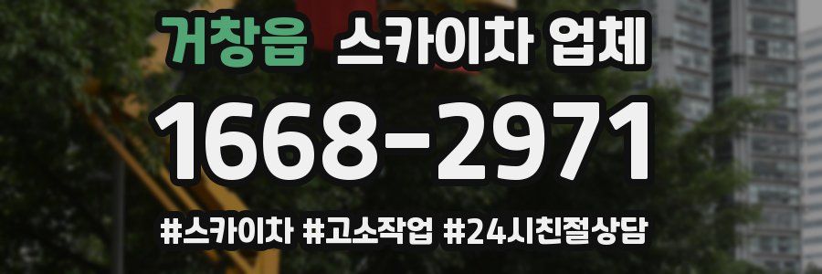 거창읍 스카이차 업체