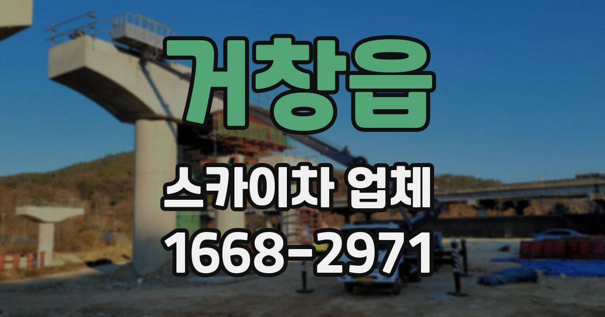 거창읍 스카이차 업체