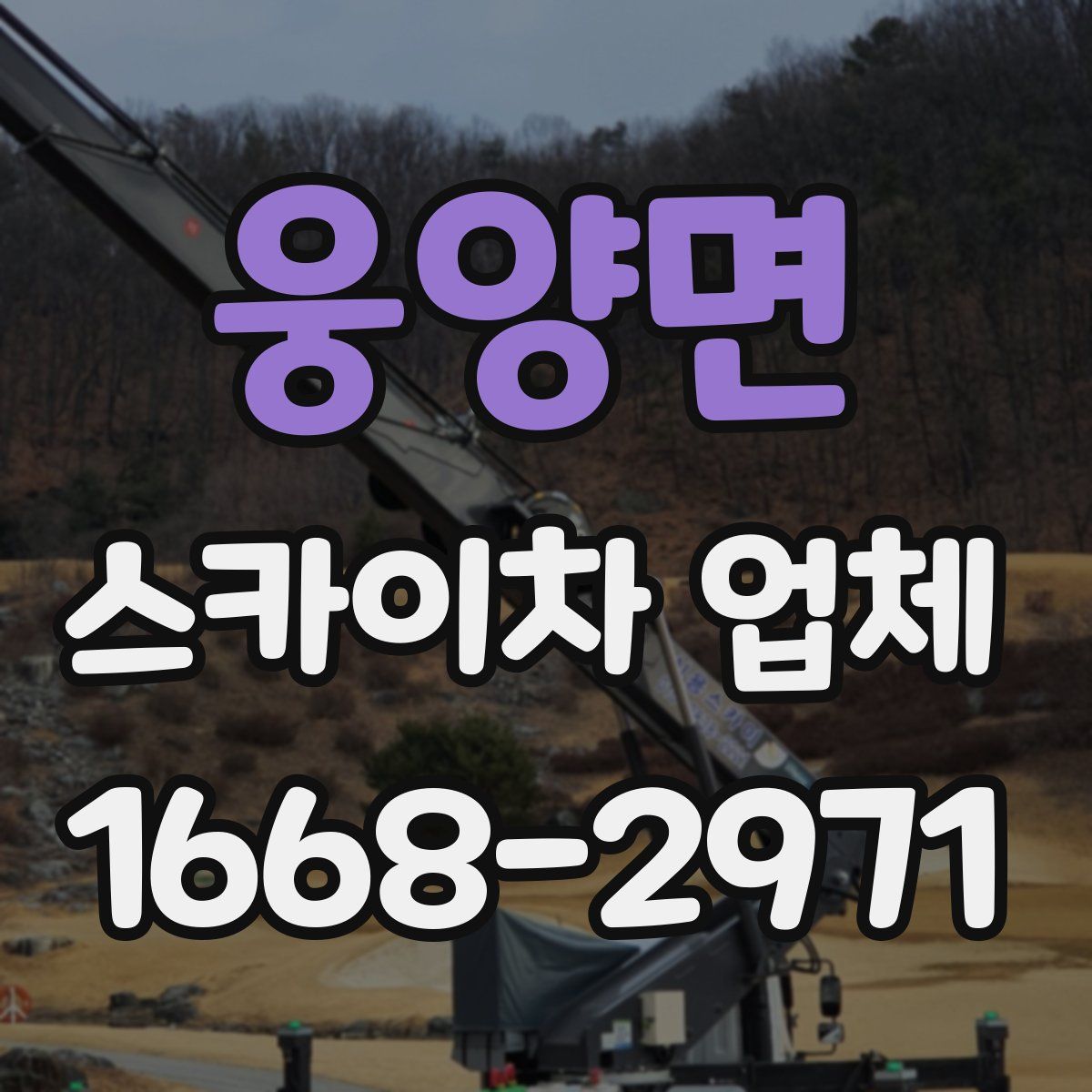 웅양면 스카이차 업체