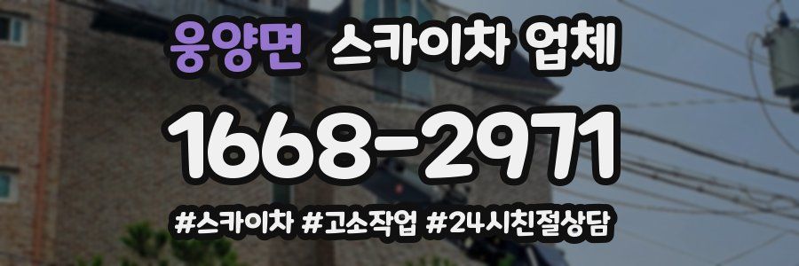 웅양면 스카이차 업체
