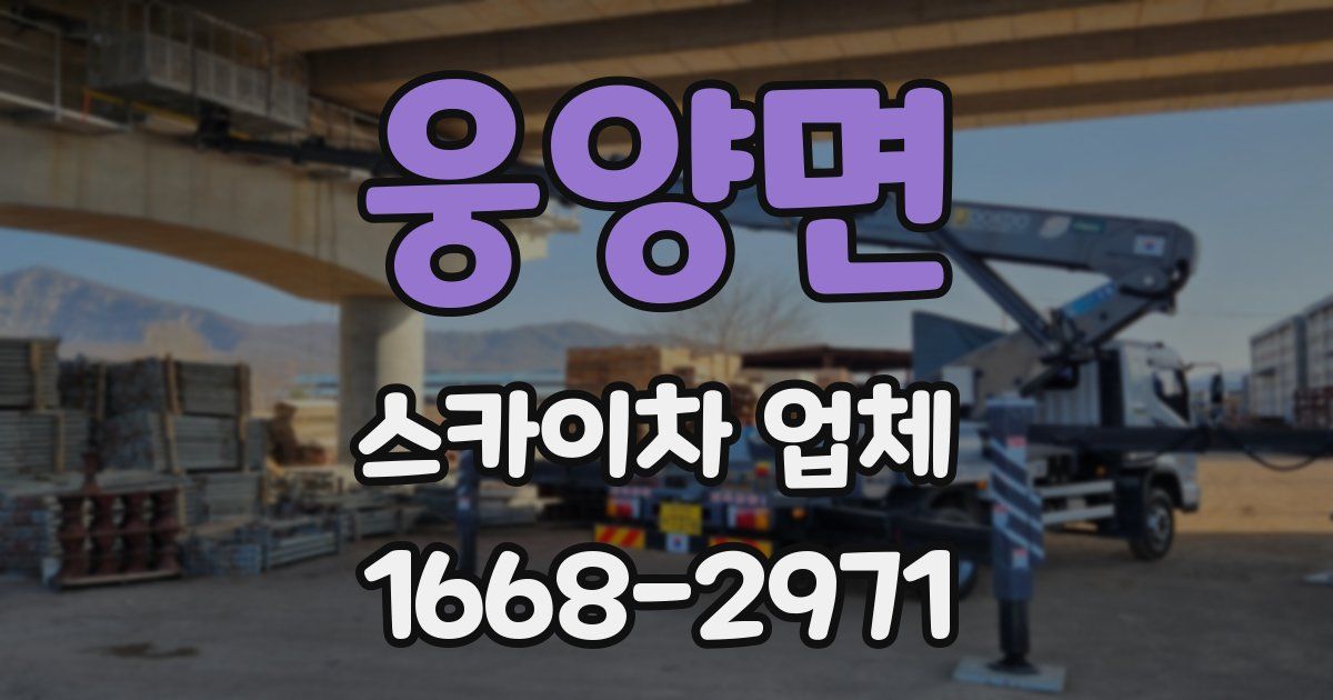 웅양면 스카이차 업체