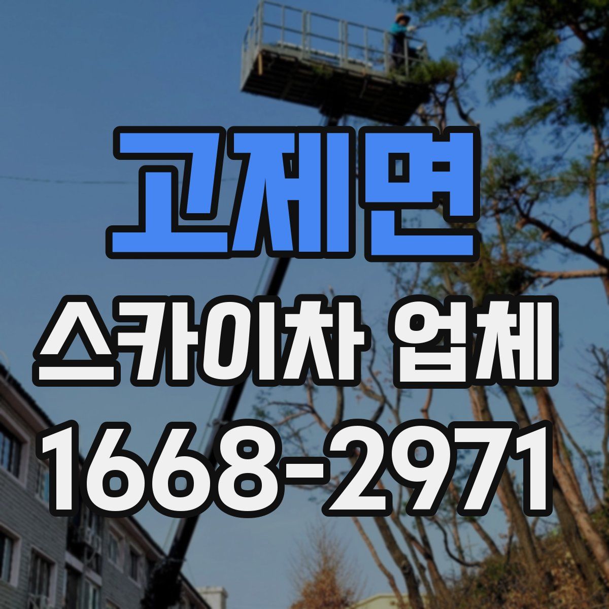 고제면 스카이차 업체