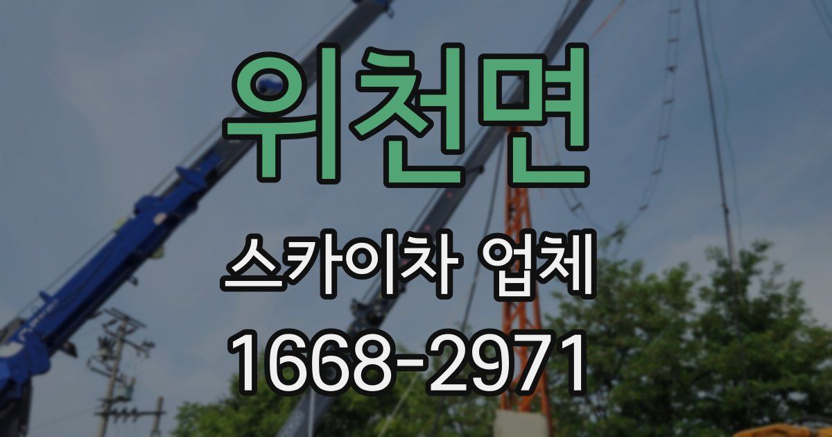 위천면 스카이차 업체