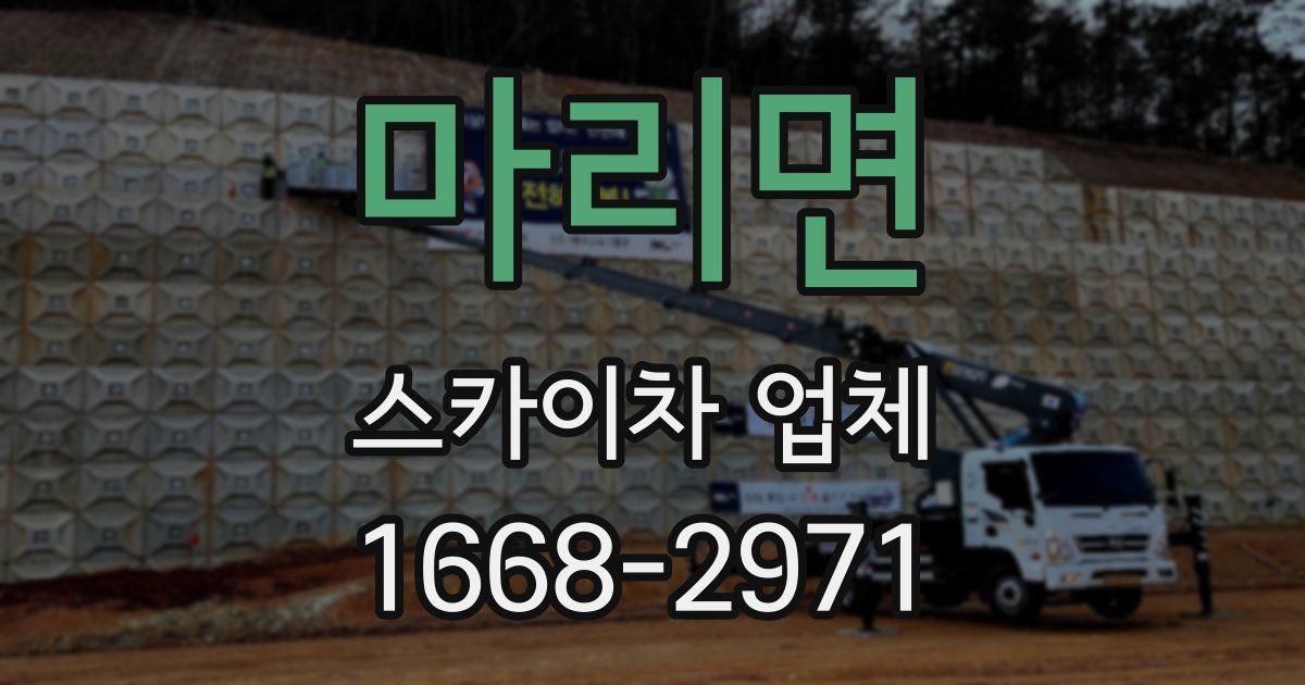 마리면 스카이차 업체