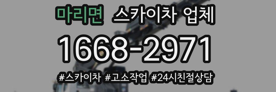 마리면 스카이차 업체
