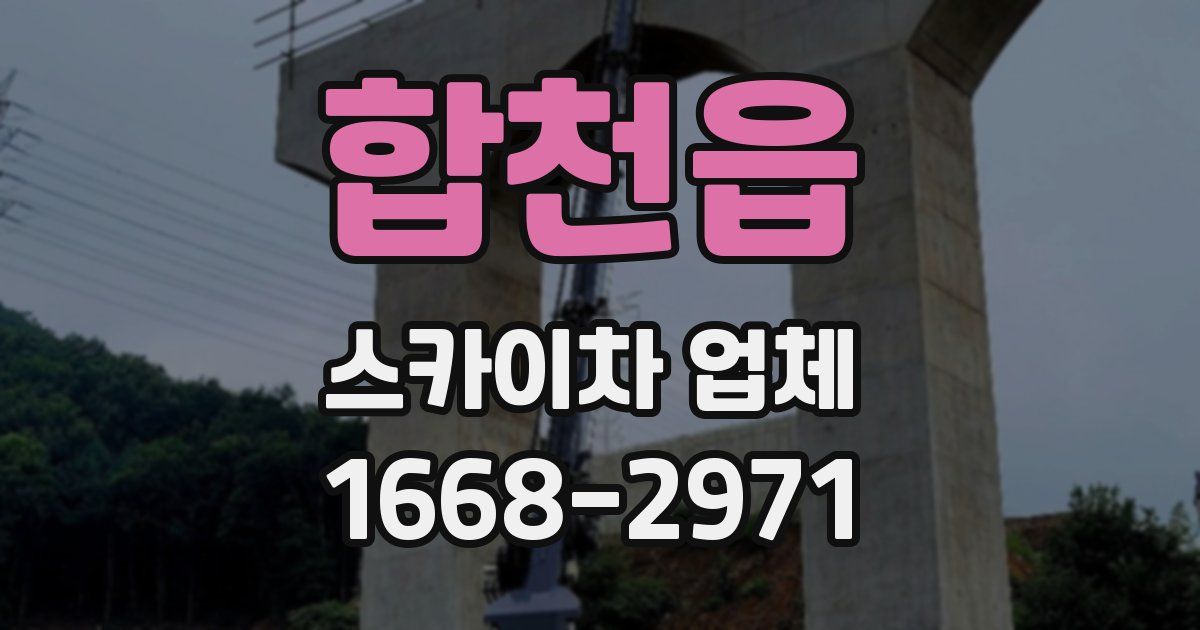 합천읍 스카이차 업체