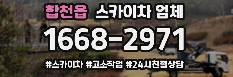 합천읍 스카이차 업체