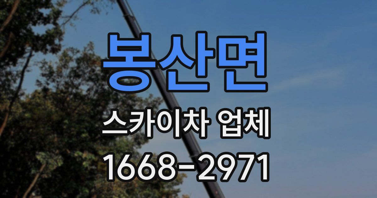 봉산면 스카이차 업체