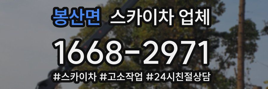 봉산면 스카이차 업체