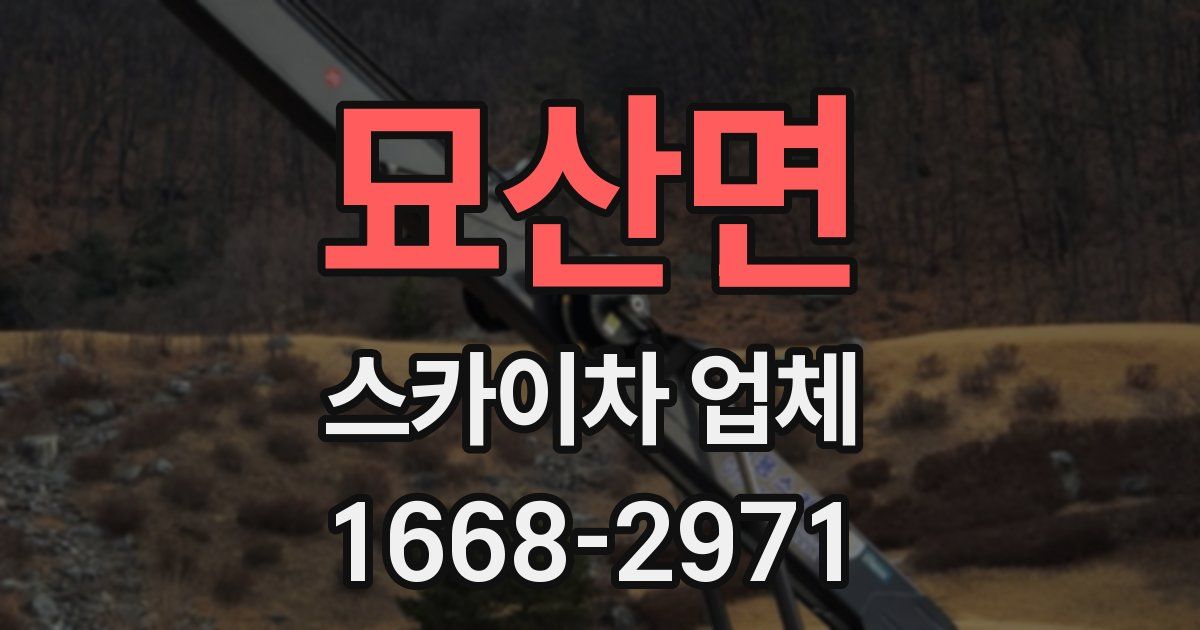 묘산면 스카이차 업체