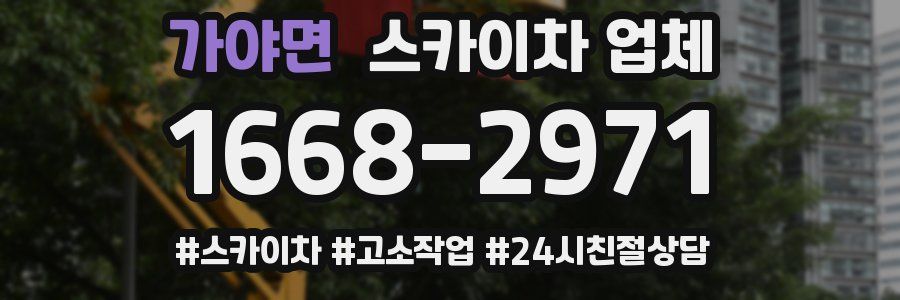 가야면 스카이차 업체