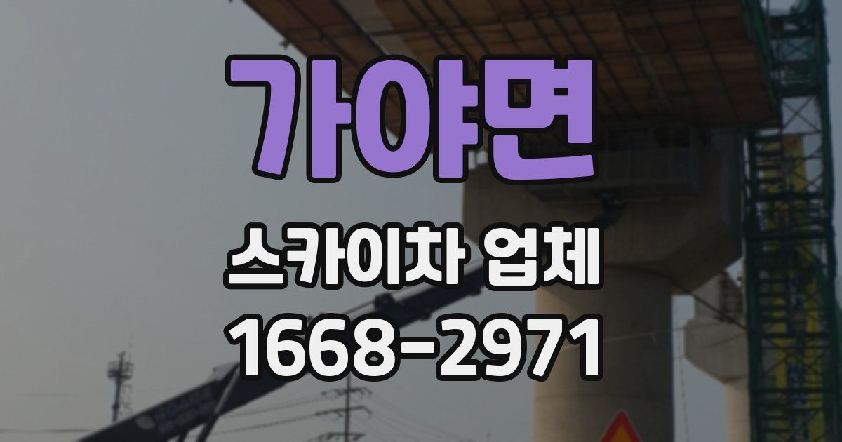 가야면 스카이차 업체