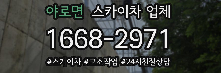야로면 스카이차 업체