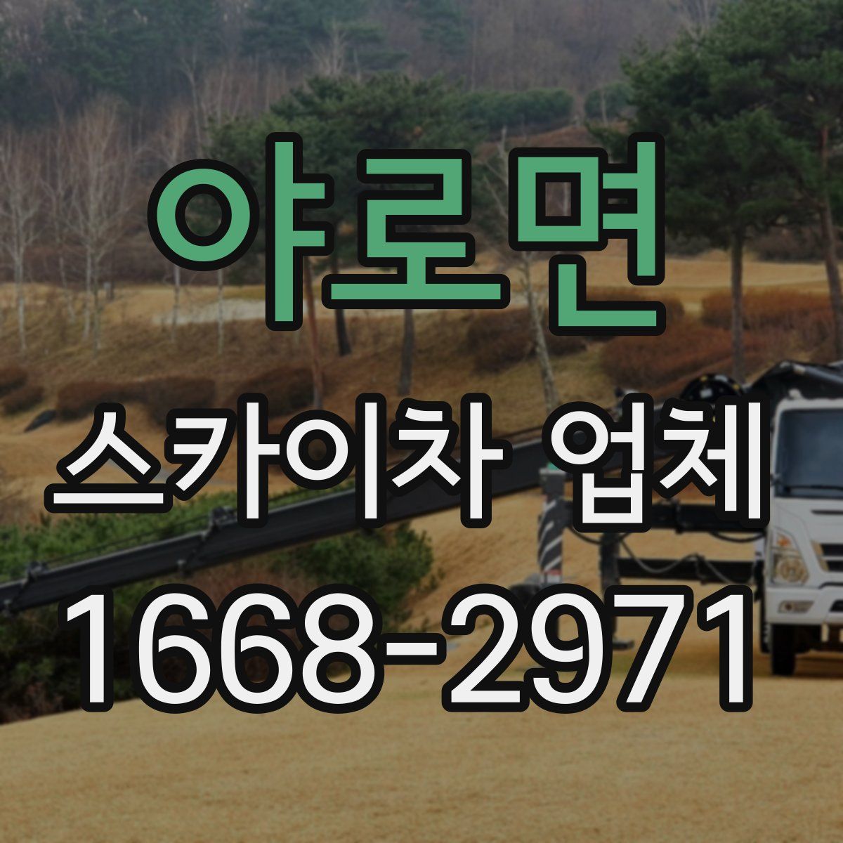 야로면 스카이차 업체