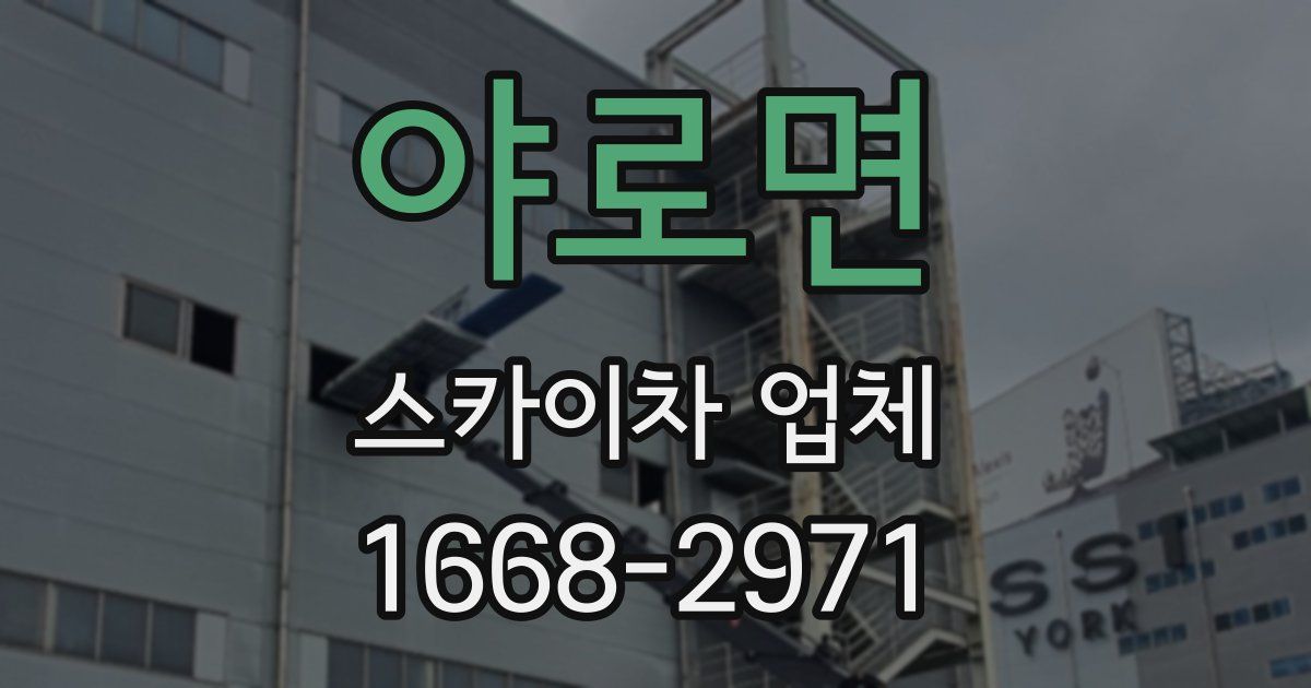 야로면 스카이차 업체