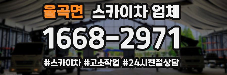 율곡면 스카이차 업체