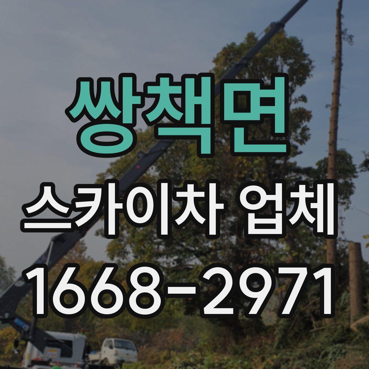 쌍책면 스카이차 업체