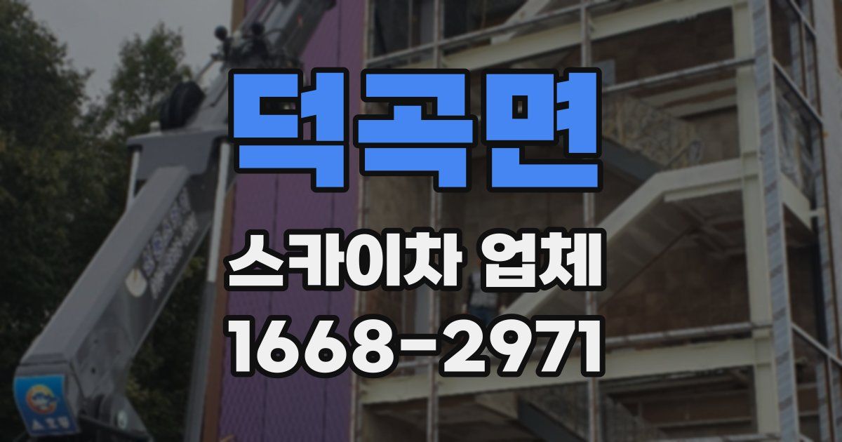 덕곡면 스카이차 업체