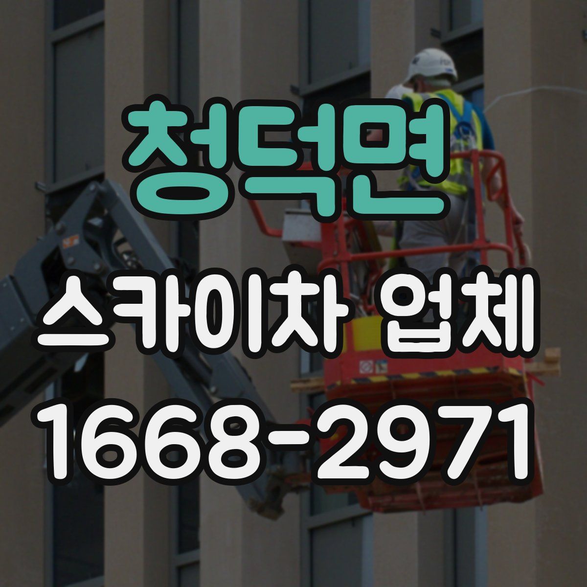 청덕면 스카이차 업체