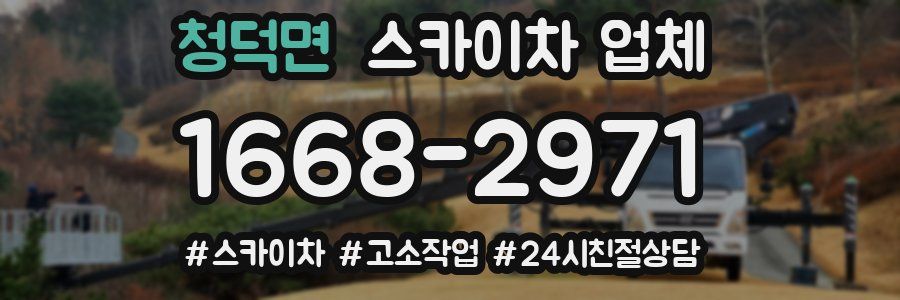 청덕면 스카이차 업체