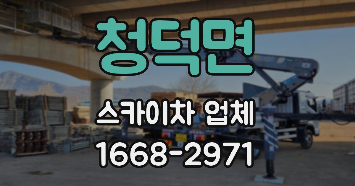 청덕면 스카이차 업체