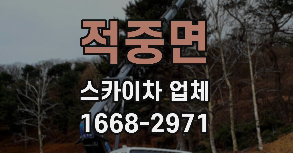 적중면 스카이차 업체