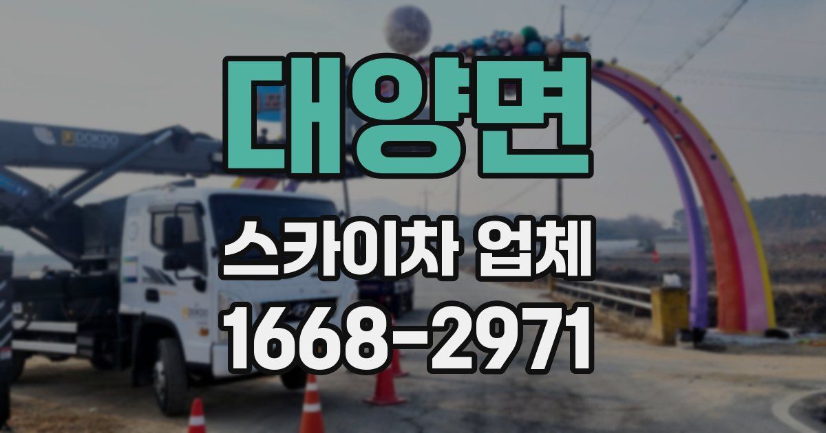 대양면 스카이차 업체
