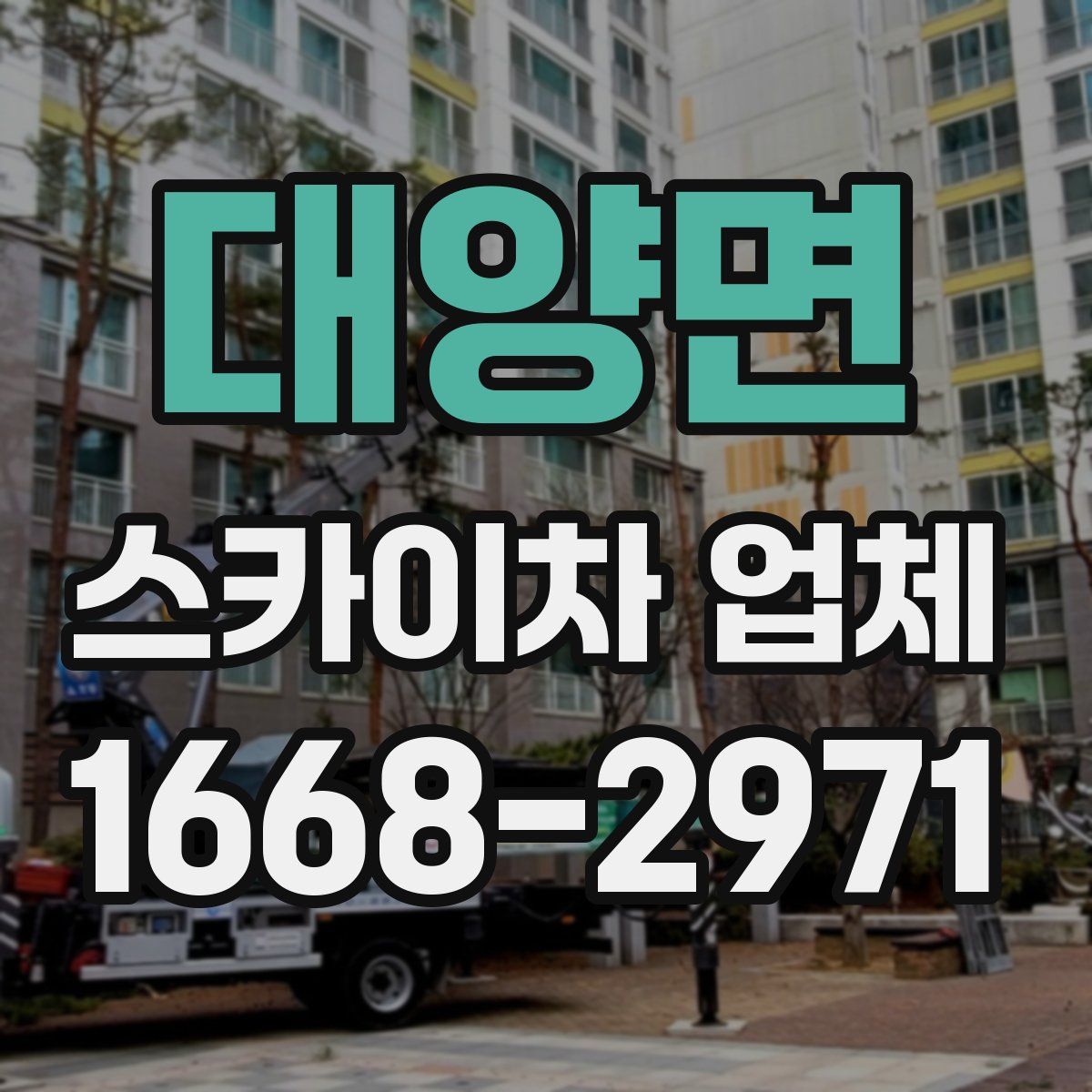 대양면 스카이차 업체