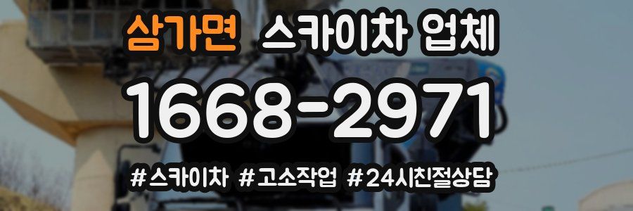 삼가면 스카이차 업체
