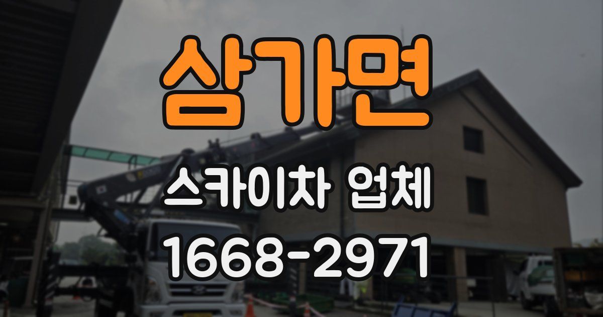 삼가면 스카이차 업체