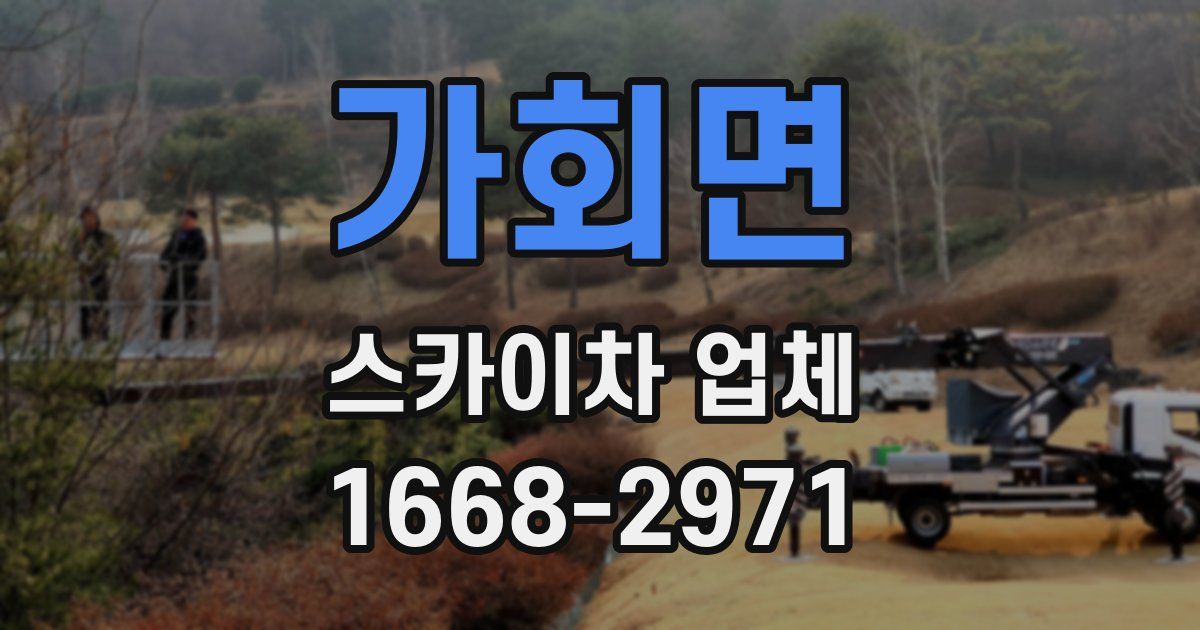 가회면 스카이차 업체