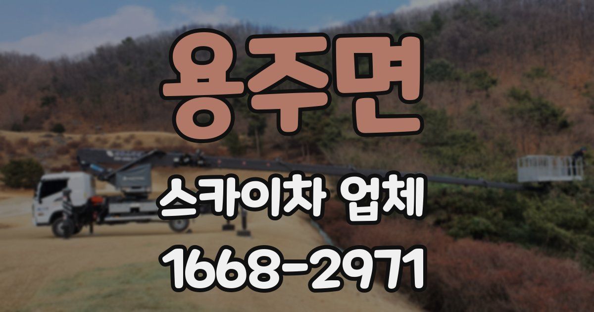 용주면 스카이차 업체