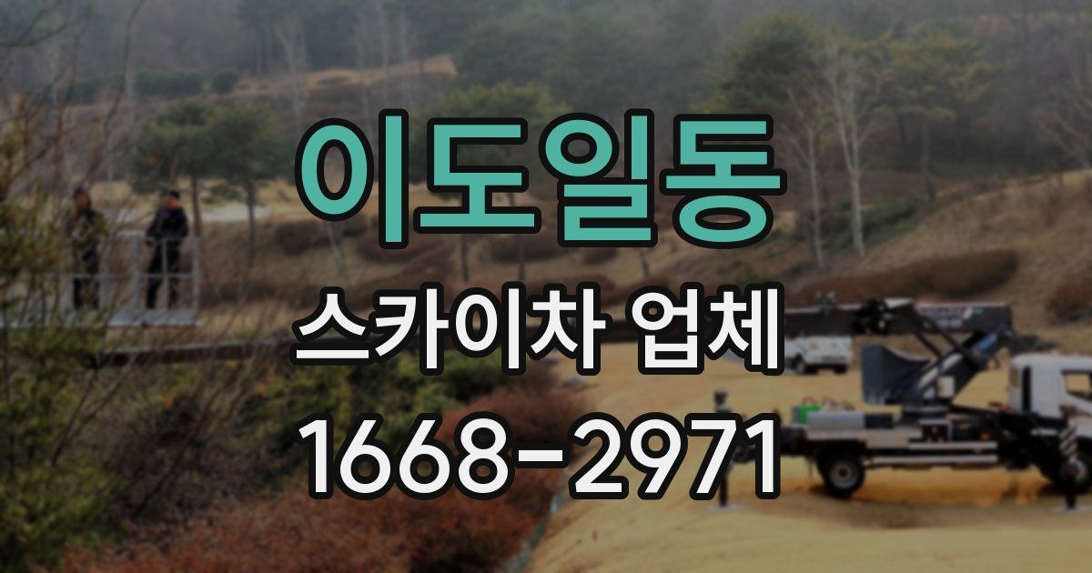 이도일동 스카이차 업체
