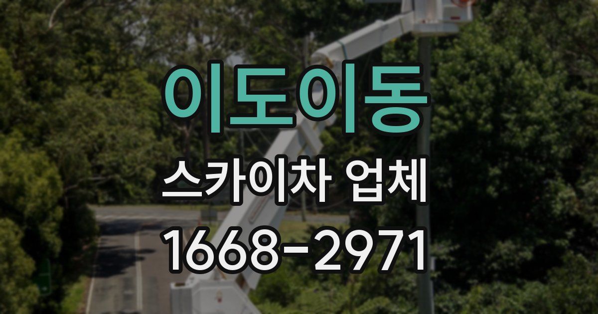 이도이동 스카이차 업체