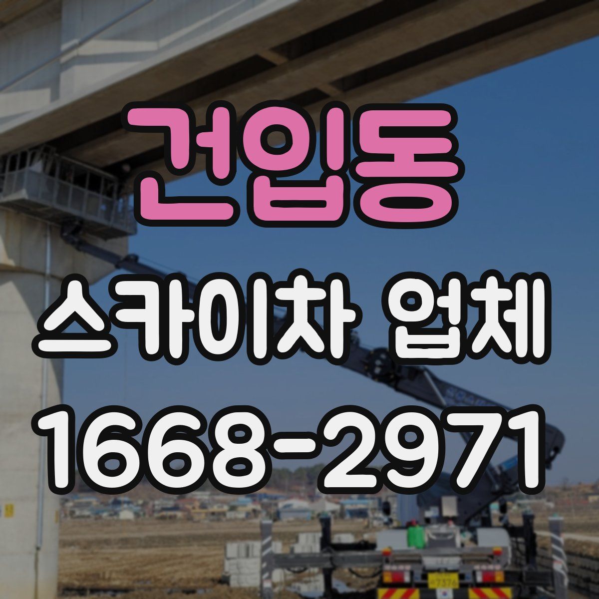 건입동 스카이차 업체