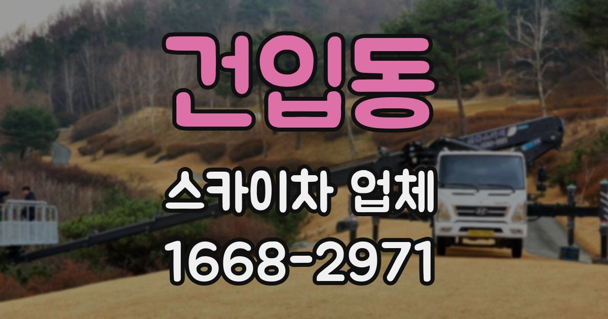 건입동 스카이차 업체