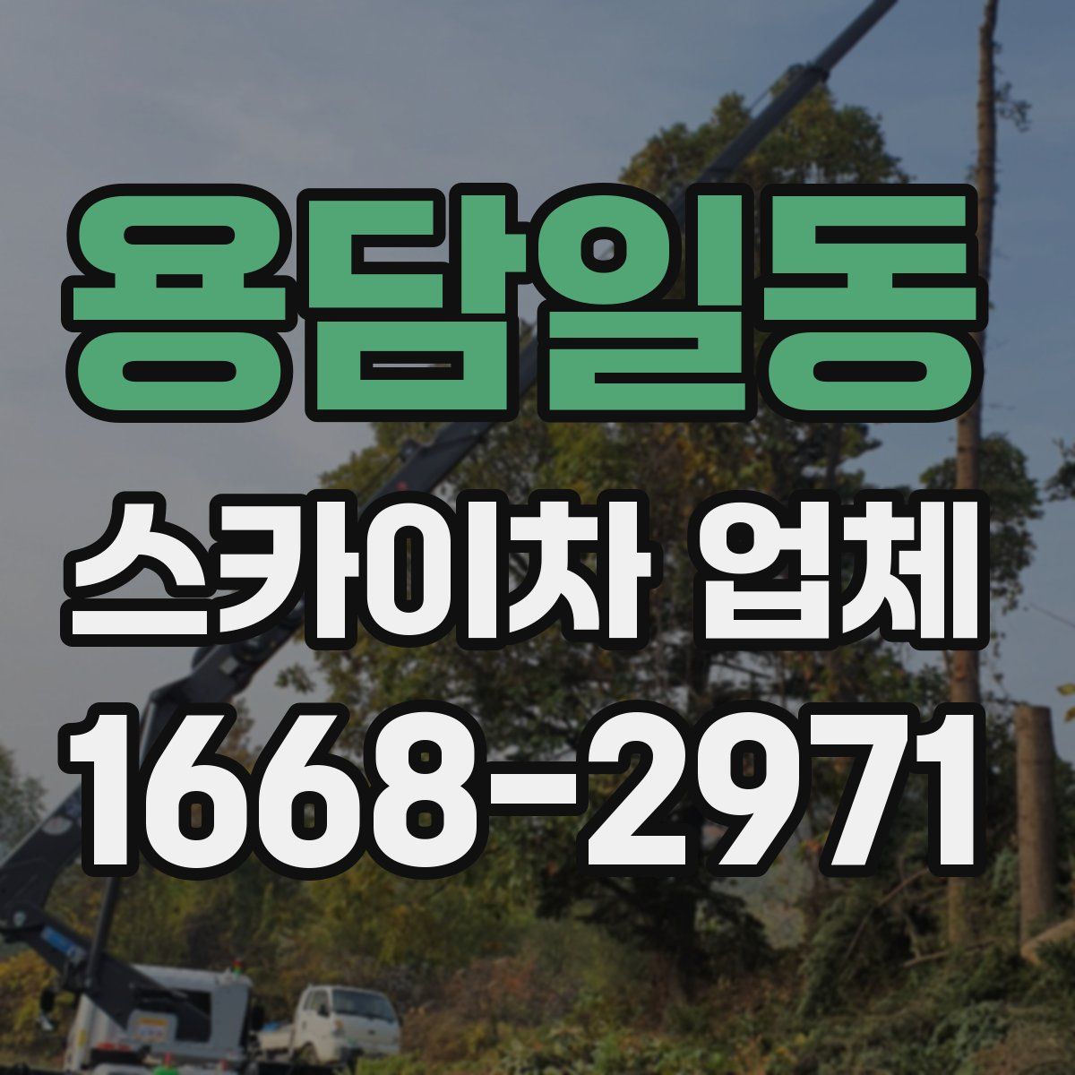 용담일동 스카이차 업체