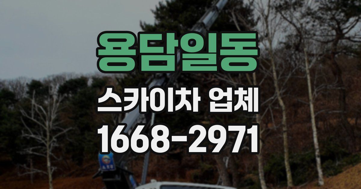 용담일동 스카이차 업체