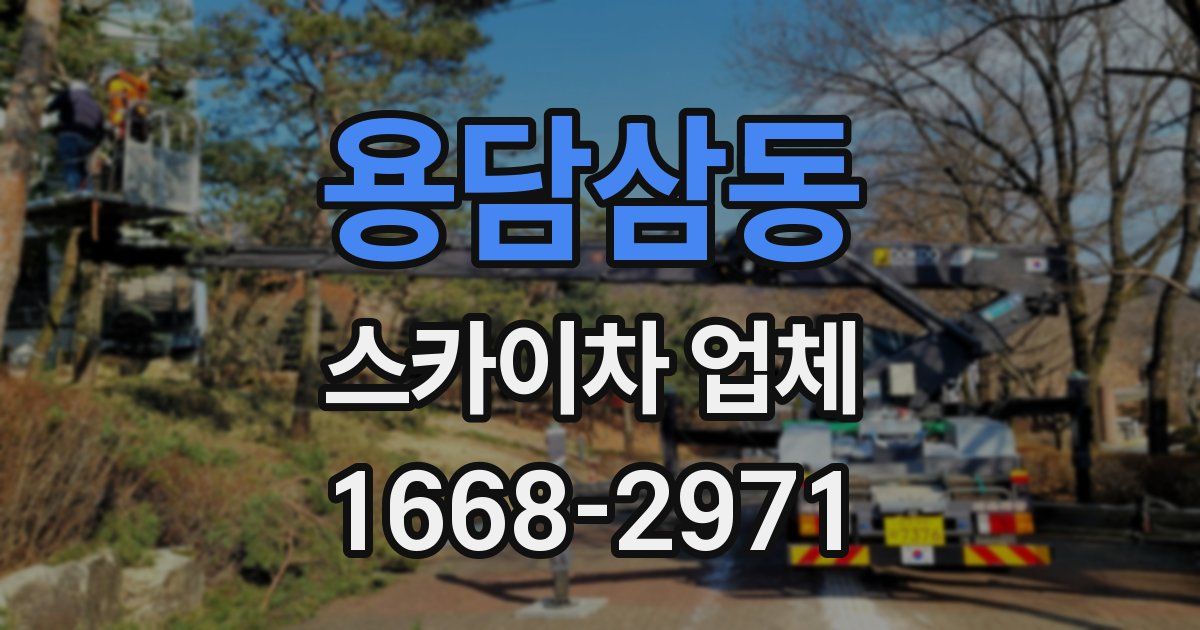 용담삼동 스카이차 업체