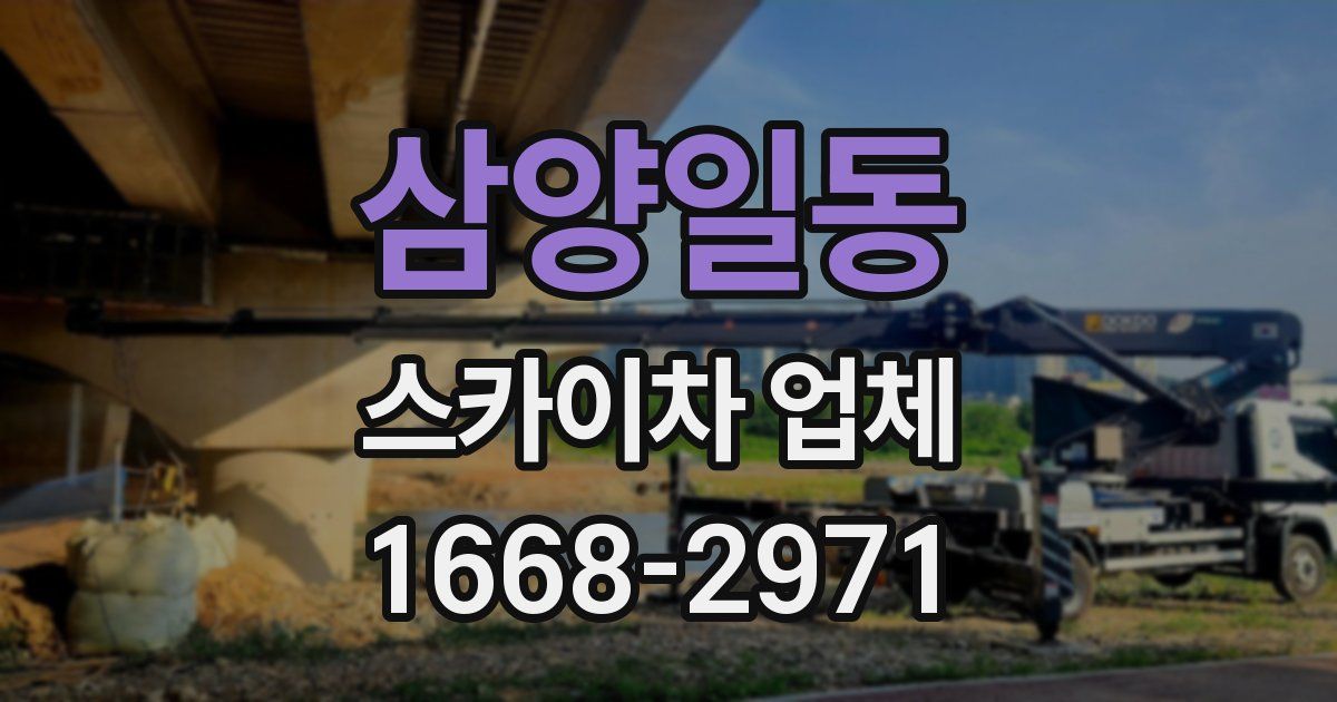 삼양일동 스카이차 업체