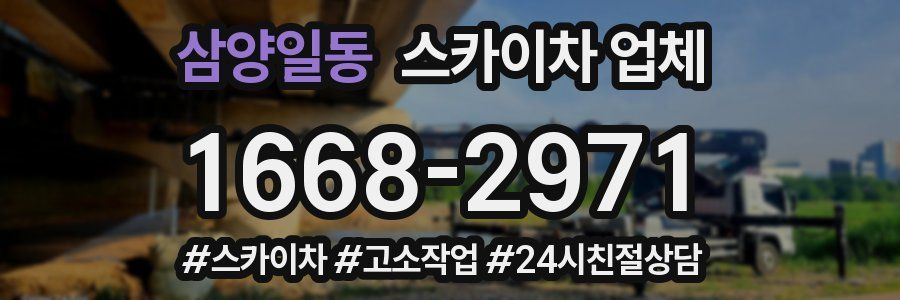삼양일동 스카이차 업체