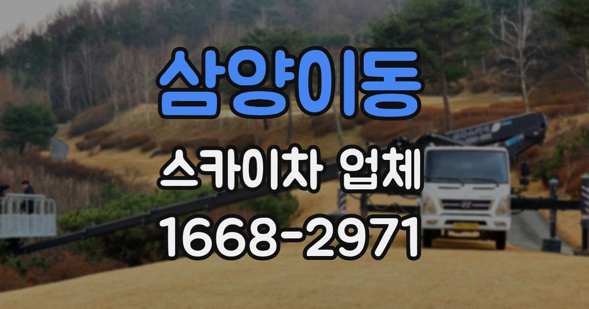 삼양이동 스카이차 업체