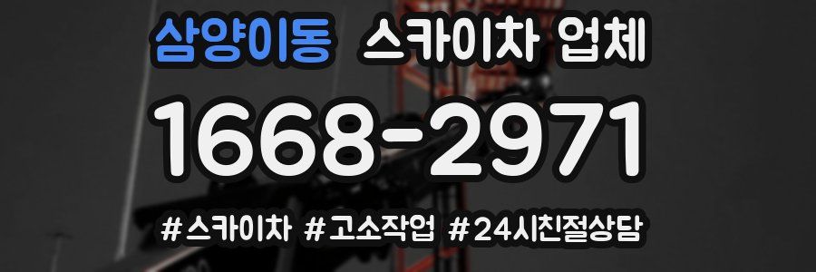 삼양이동 스카이차 업체